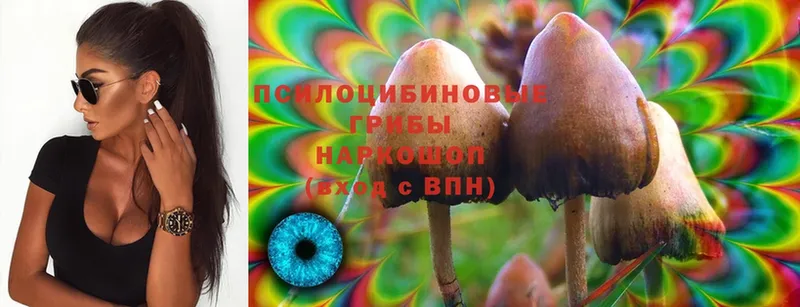 Псилоцибиновые грибы GOLDEN TEACHER  купить закладку  Биробиджан 